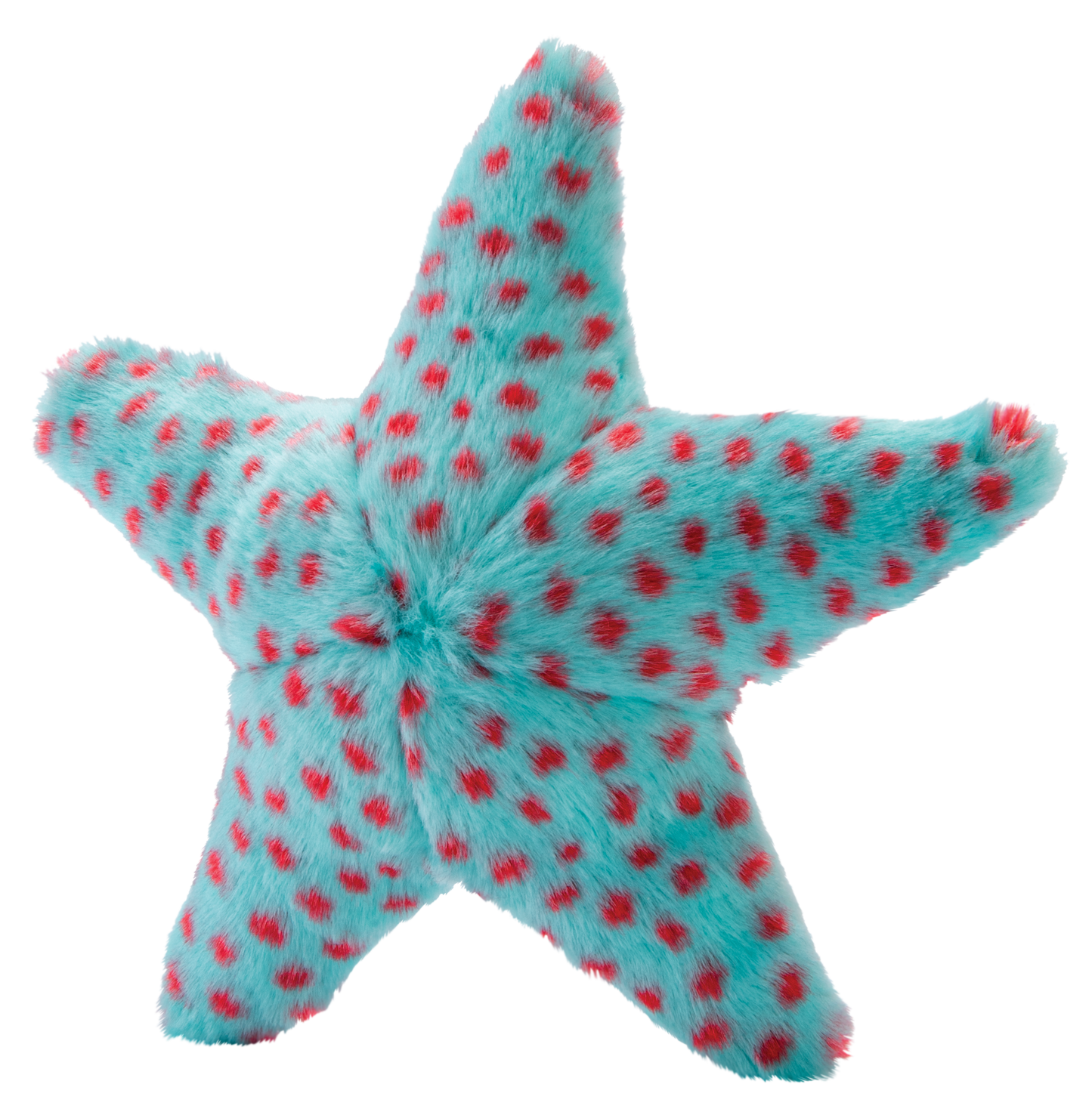 Ally Starfish