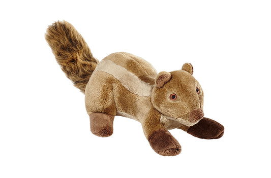 Peanut Chipmunk