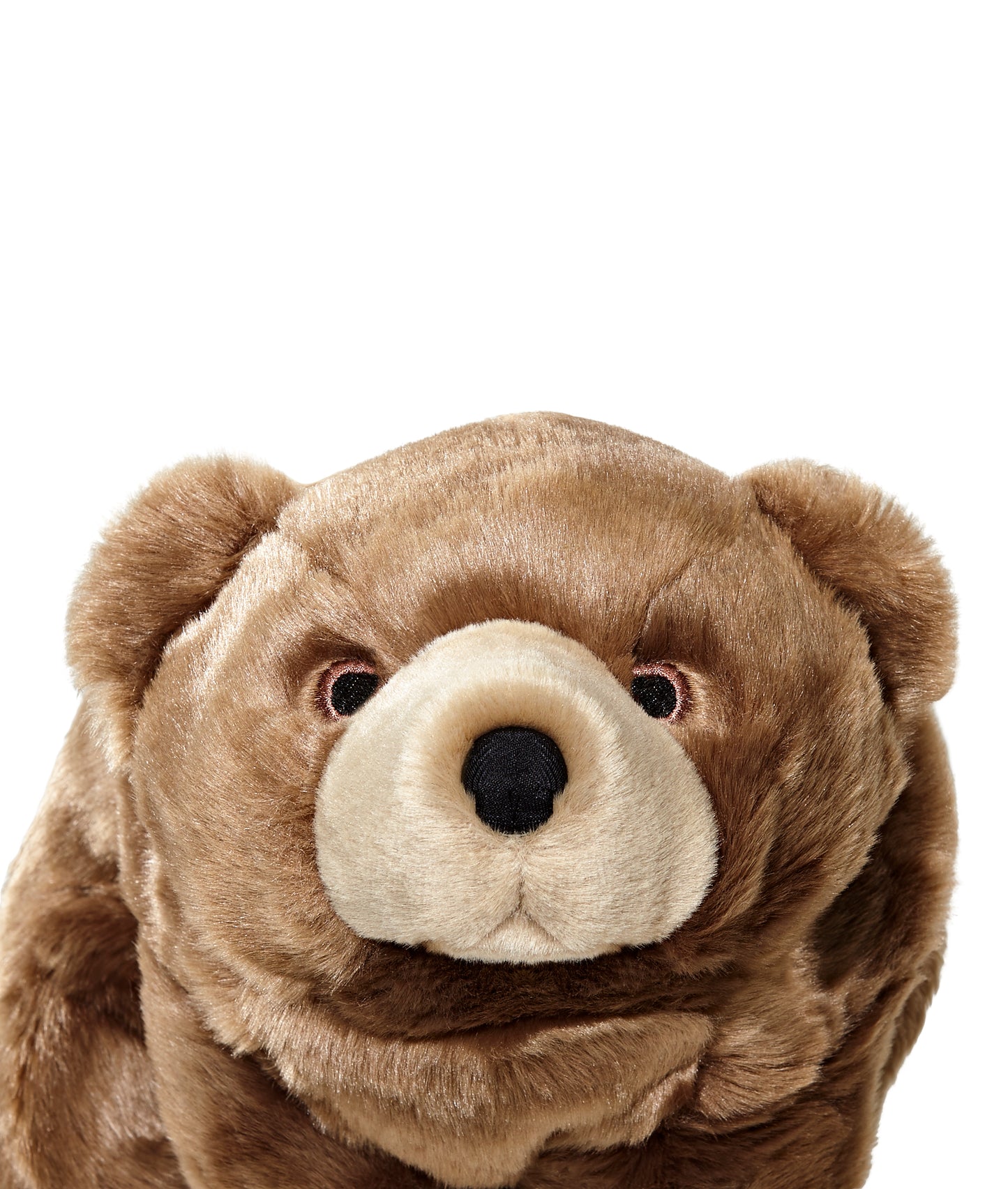 Sadie Bear