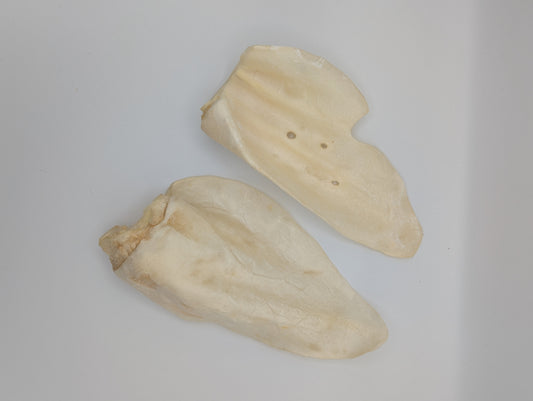 Tuesdays Cow Ear