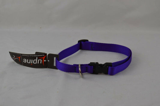 Lupine 1-Inch Purple 16-28-Inch Adjustable Dog Collar for Large Dogs