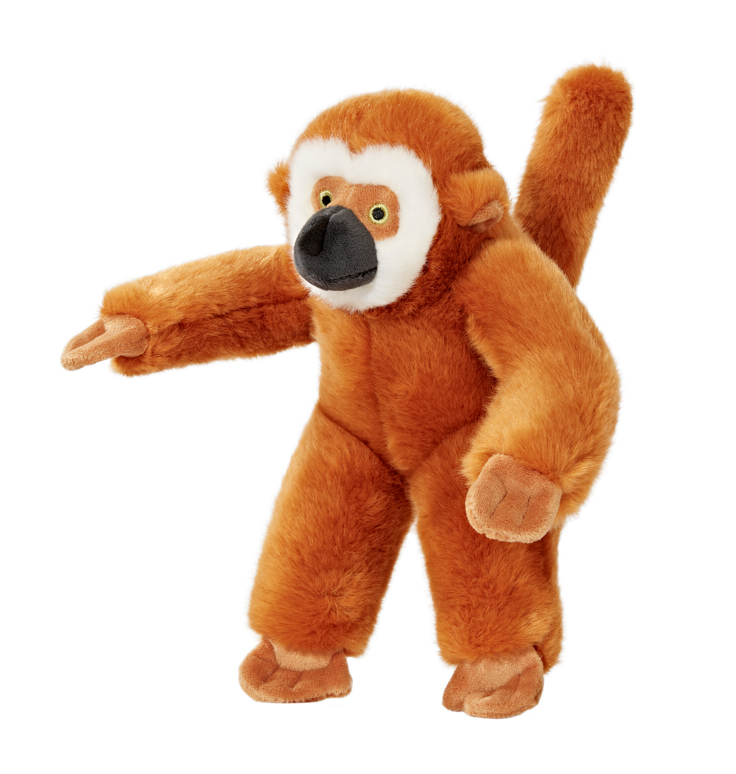 Marcel Monkey