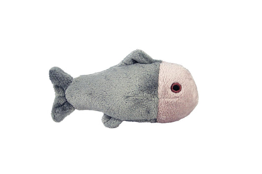 Guppy Fish