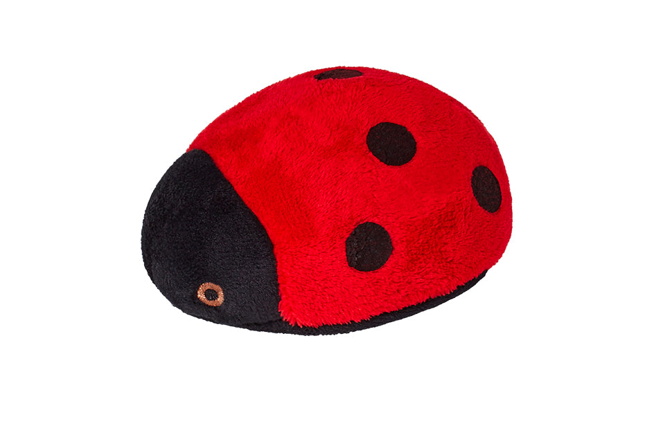 Lady Bug