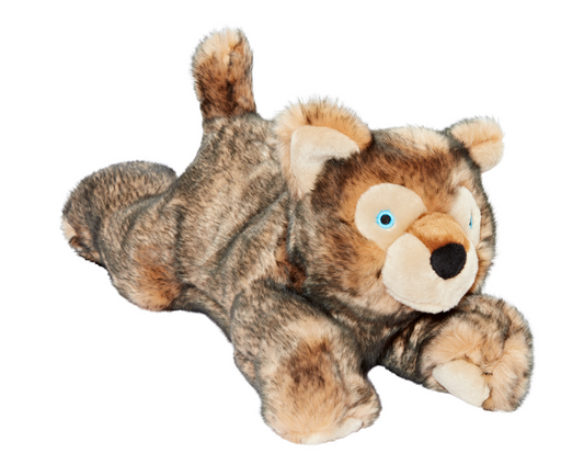 Lobo Wolf Pup