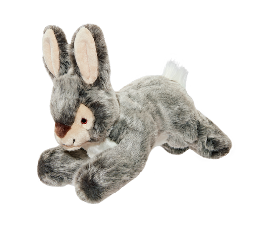 Walter Wabbit